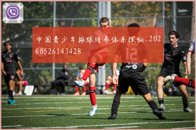 中国青少年排球培养体系探秘_20260526143428